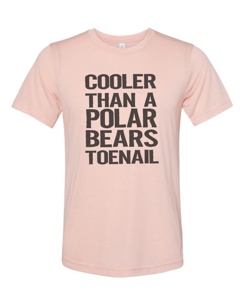 Outkast Shirt, Cooler Than A Polar Bears Toenail, Outkast Lyrics, 90's Hip Hop, Hip Hop Shirt, Unisex Tee, 90's Apparel, Trendy Shirts 2020 - Chase Me Tees LLC