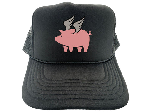 Pig Wings Hat