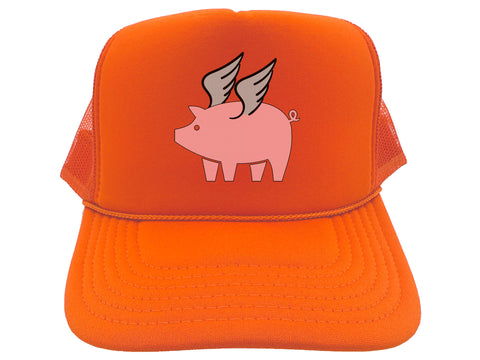 Pig Wings Hat