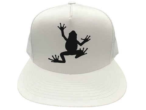 Frog Hat