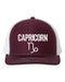 Capricorn Hat, Capricorn, Trucker Hat, Adjustable, 10 Different Colors!, Gift For Capricorn, Horoscope Hat, Astrology Hat, White Text - Chase Me Tees LLC