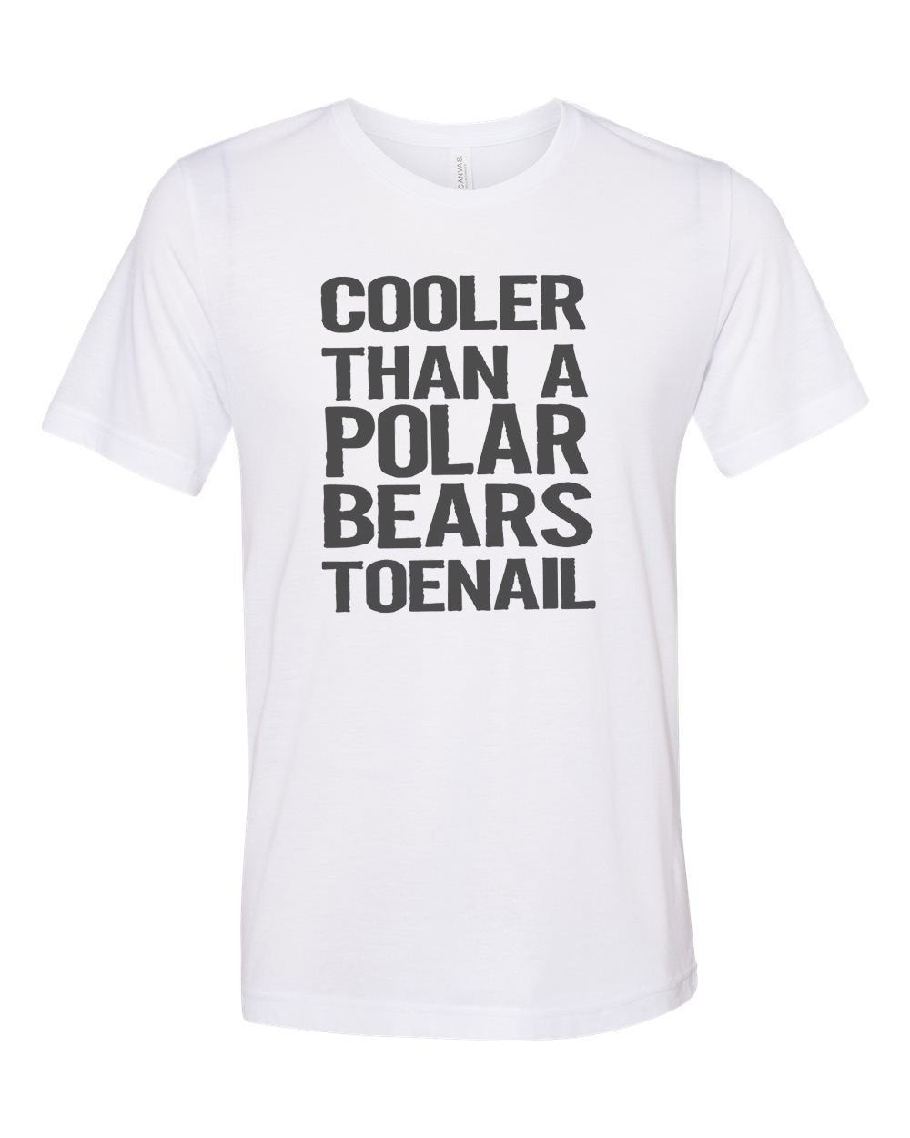 Outkast Shirt, Cooler Than A Polar Bears Toenail, Outkast Lyrics, 90's Hip Hop, Hip Hop Shirt, Unisex Tee, 90's Apparel, Trendy Shirts 2020 - Chase Me Tees LLC