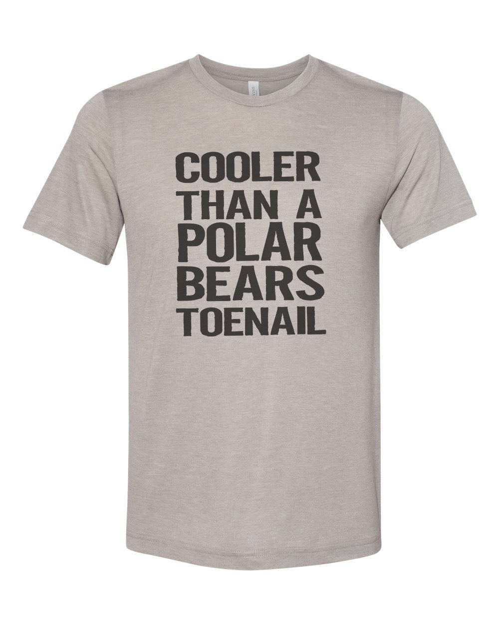 Outkast Shirt, Cooler Than A Polar Bears Toenail, Outkast Lyrics, 90's Hip Hop, Hip Hop Shirt, Unisex Tee, 90's Apparel, Trendy Shirts 2020 - Chase Me Tees LLC