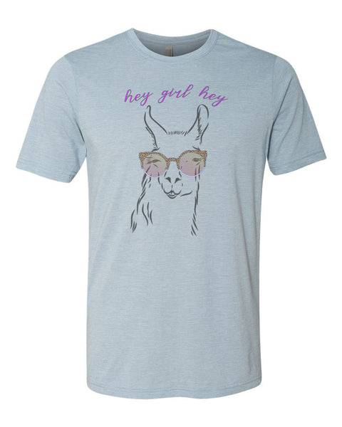 Hey Girl Hey Shirt, Llama Shirt, Hey Girl Hey Llama, Unisex Fit, Gift For Her, Llama Lover, Sublimated Design, Llama Gift, Funny Tees - Chase Me Tees LLC