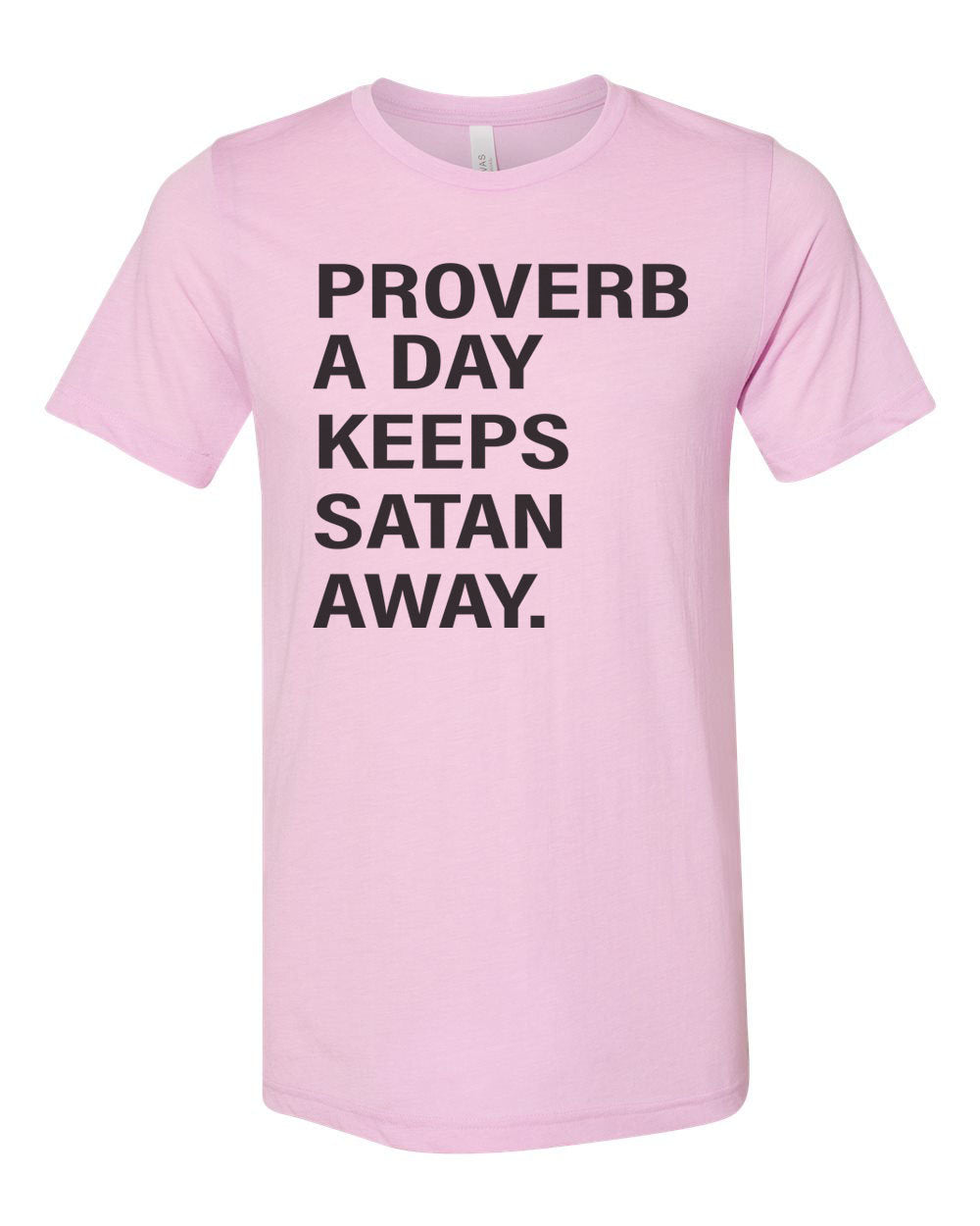 Christian Shirt, Proverb A Day Keeps Satan Away, Religious Shirt, Unisex Fit, Jesus Shirt, Gift For Her, Christian Apparel, Inspirational T - Chase Me Tees LLC